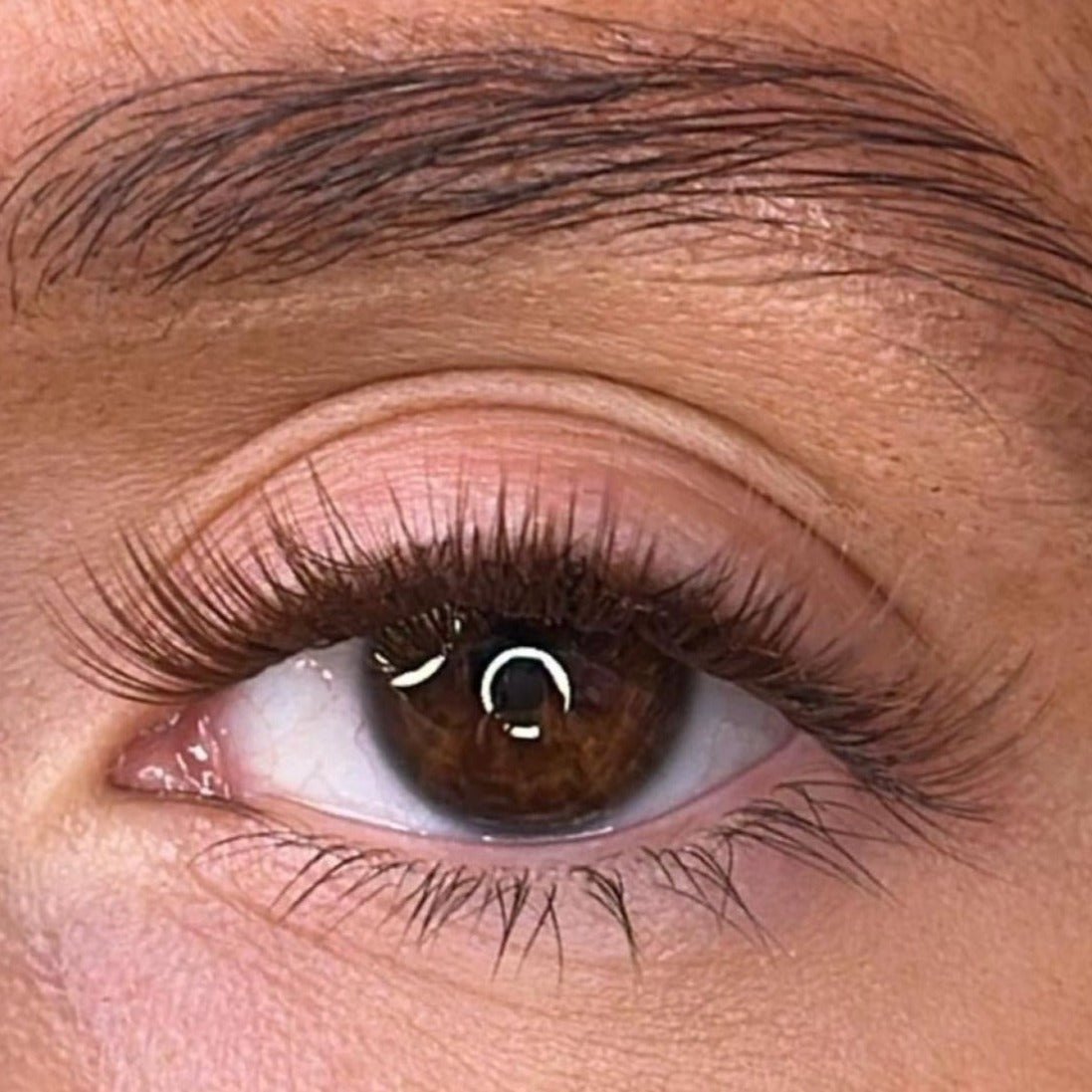 Aine Intense Brown Lash Ribbons® Collections