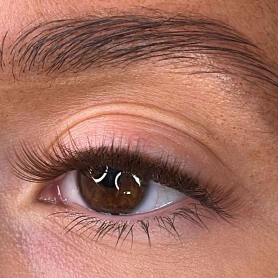 Aine Intense Brown Lash Ribbons® Collections