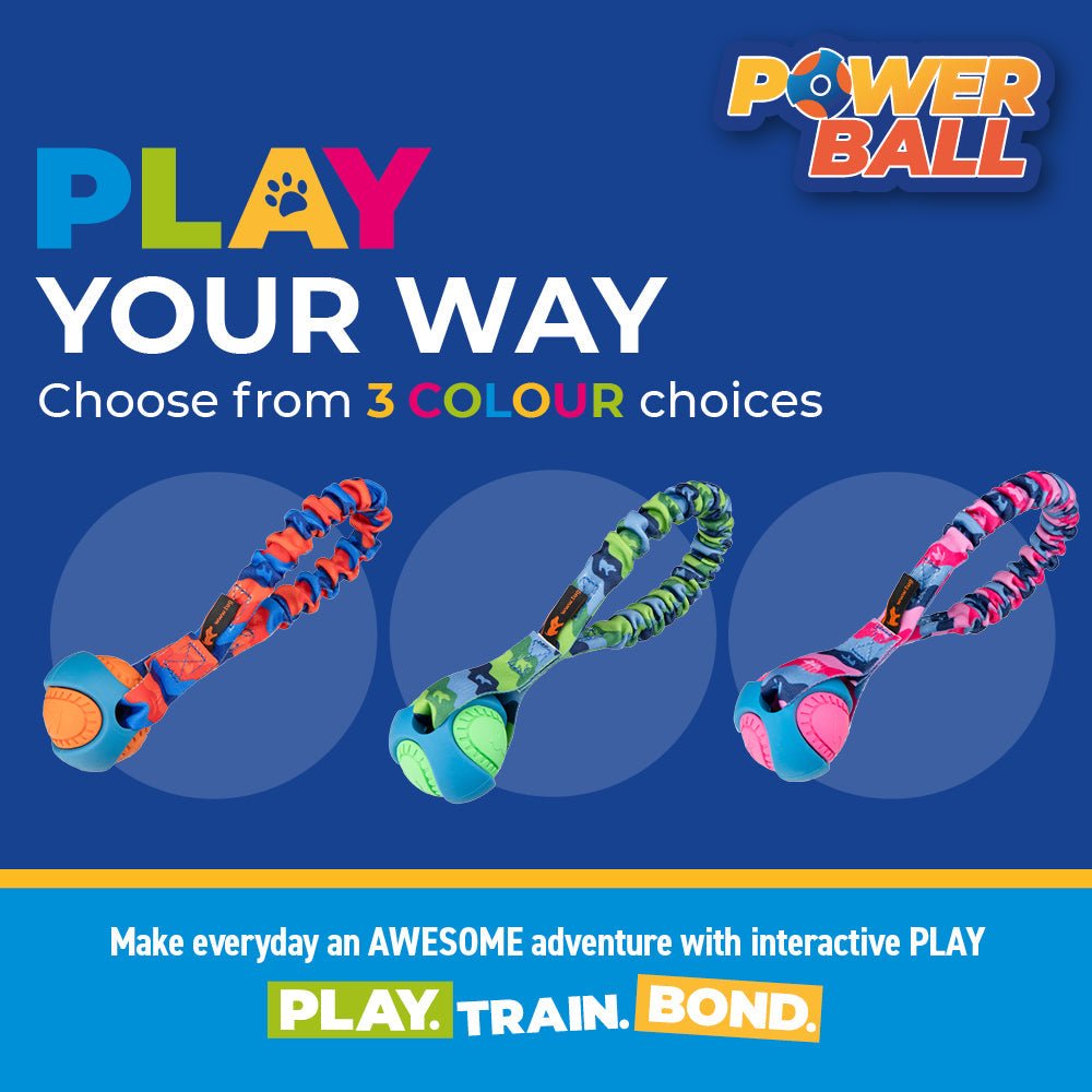 Pocket PowerBall Bungee Tug