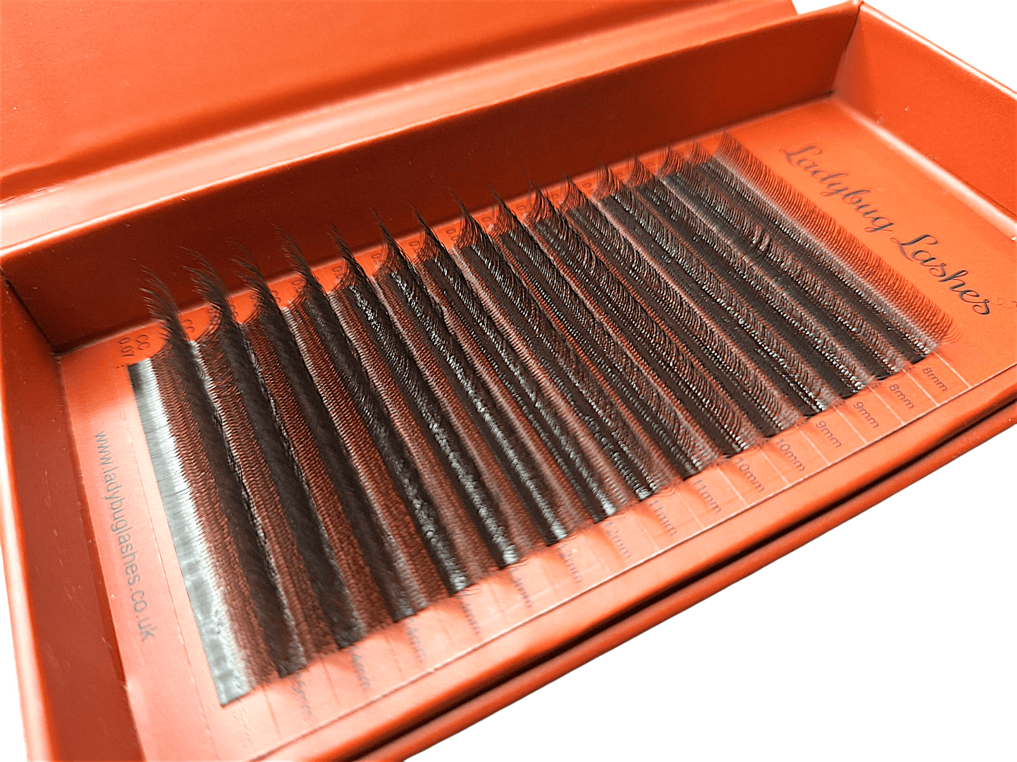 Brown W Lash Mixed Tray