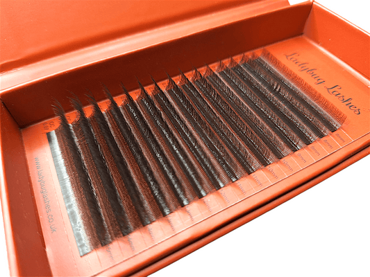 Brown W Lash Mixed Tray