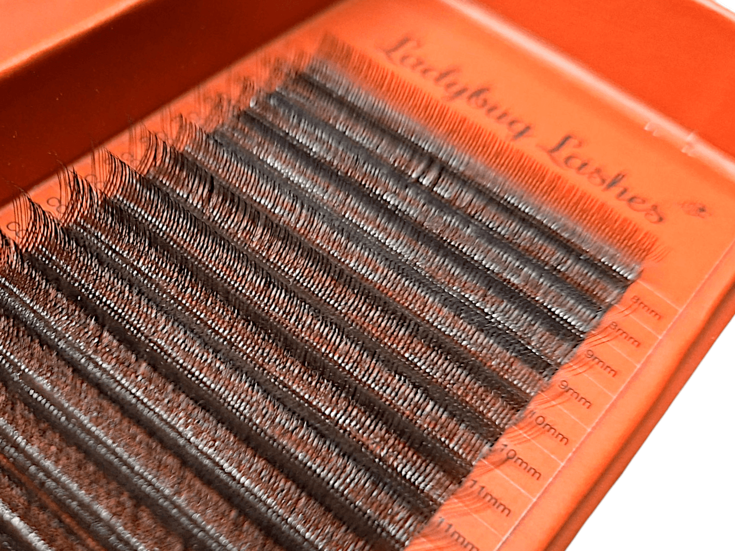 Brown W Lash Mixed Tray