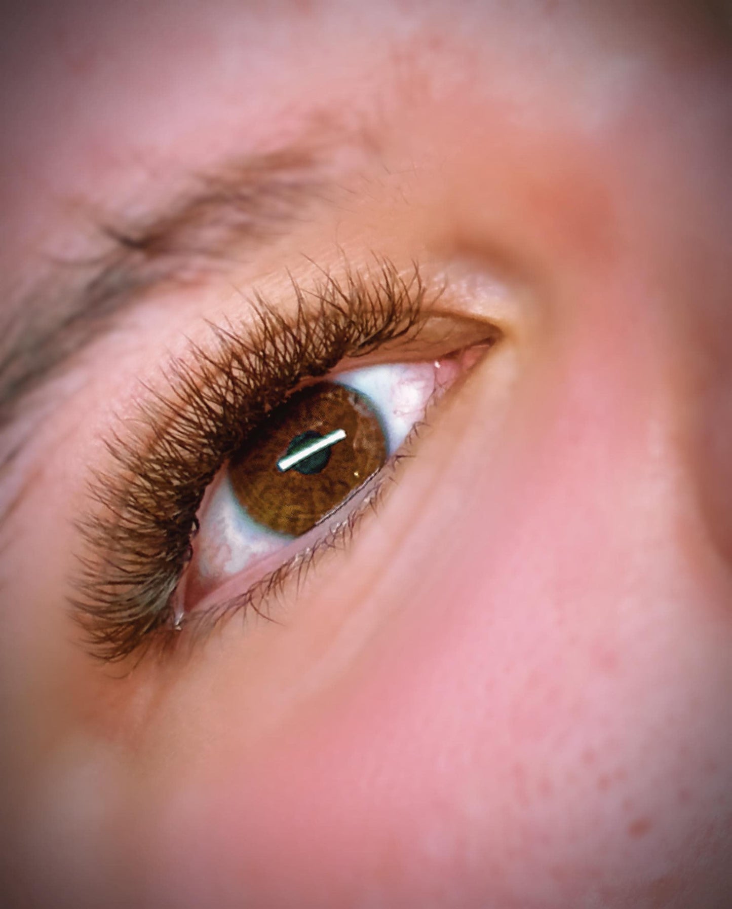 Brown W Lash Mixed Tray