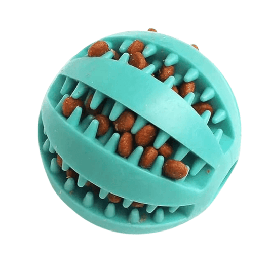 Dog Toy Treat Ball