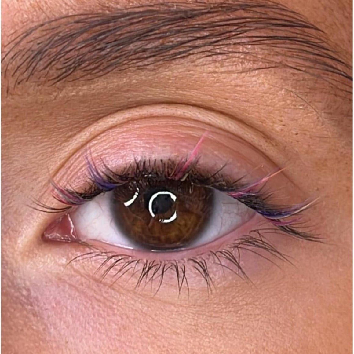 Festive Lash Ribbon Starter Kit