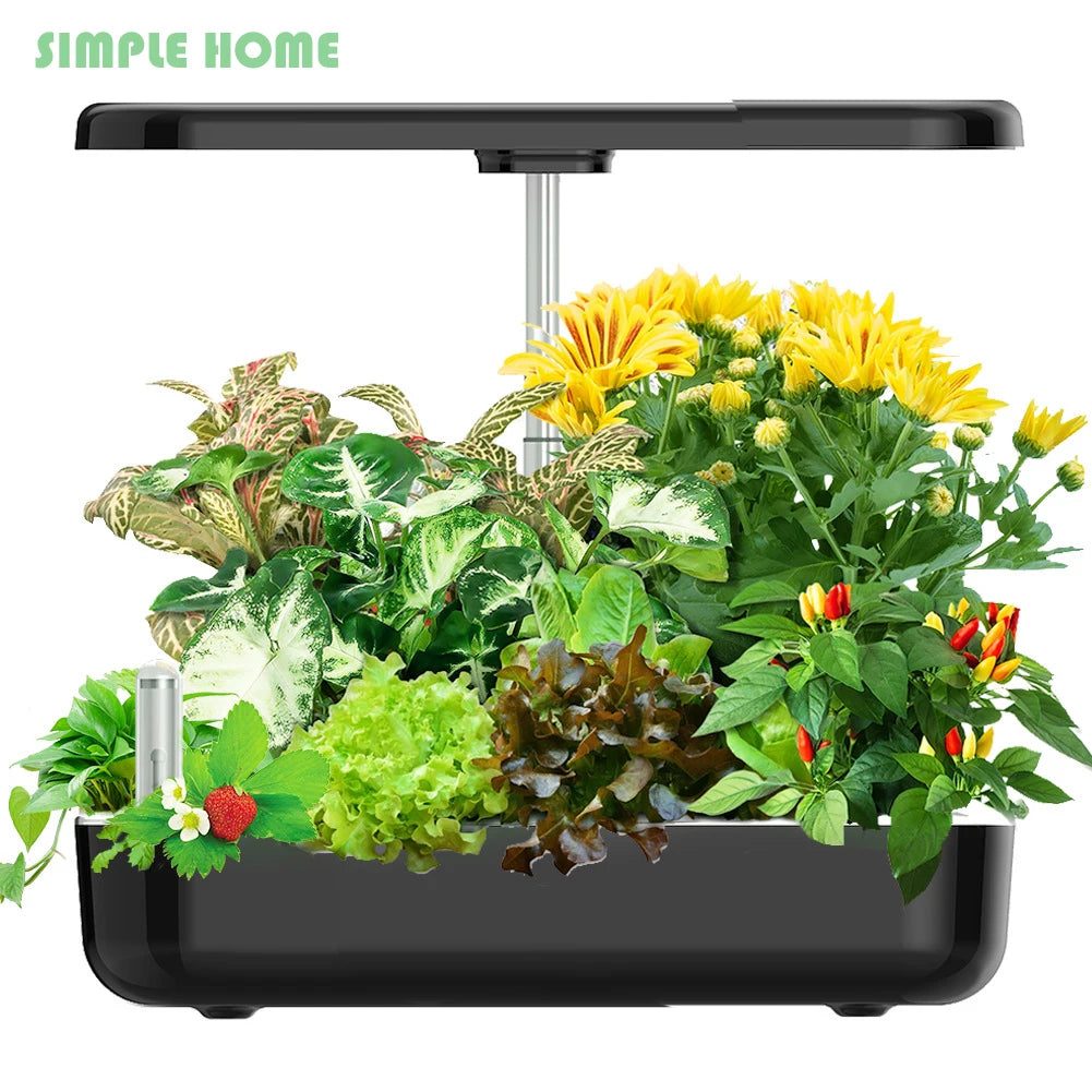 Hydroponics Growing System with LED Grow Light