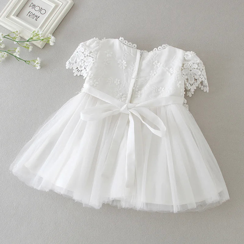 Hetiso Baby Girls Dress Long Sleeve Kids First Birthday Ball Gown Infant Dresses for Baptism Bridesmaid party 3-24 month