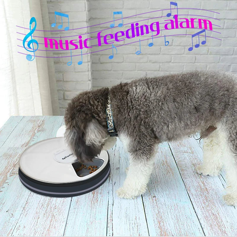 Automatic Pet Feeder with Timer & Voice Recorder – Portion Control Food Dispenser for Dogs & Cats
