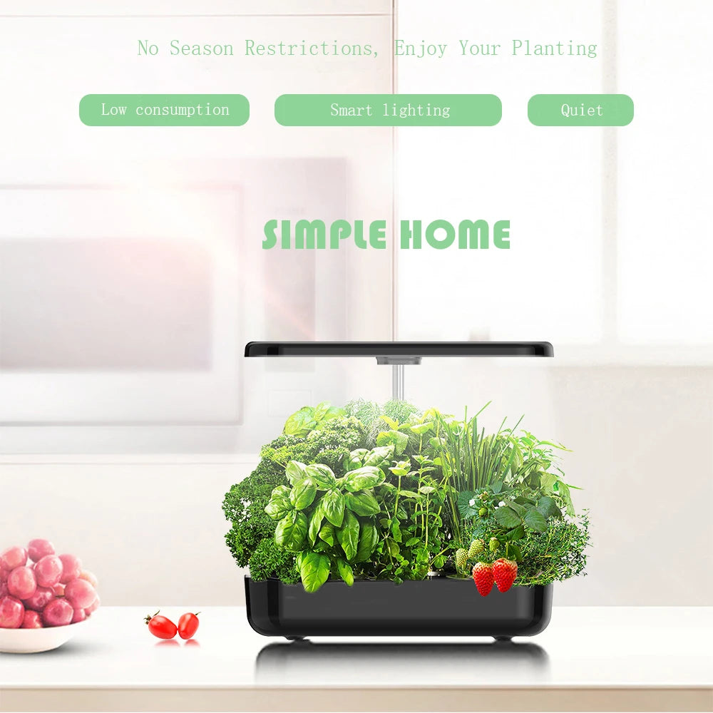 Hydroponics Growing System with LED Grow Light