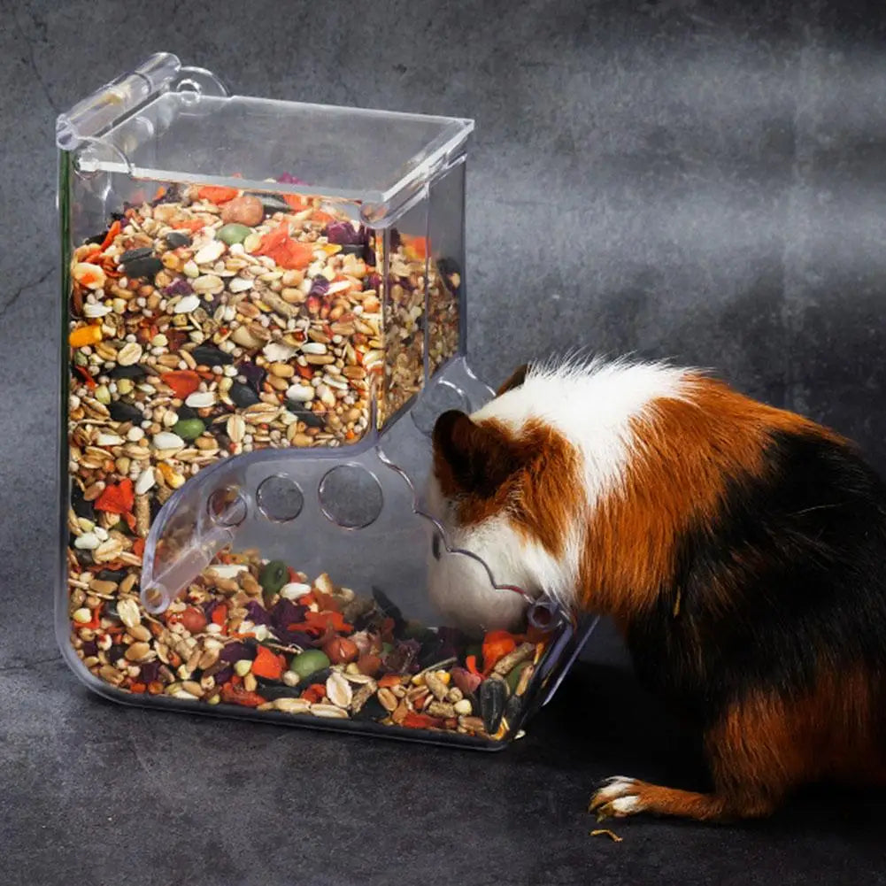 Hamster Rabbit Food Dispenser Feeder Plastic Automatic Hamster & Rabbit Food Dispenser – Clear Plastic Pet Feeder for Guinea Pigs and Small Animalsear Automatic Pet Feeder For Hamster Guinea Pigs Food Bowl Container