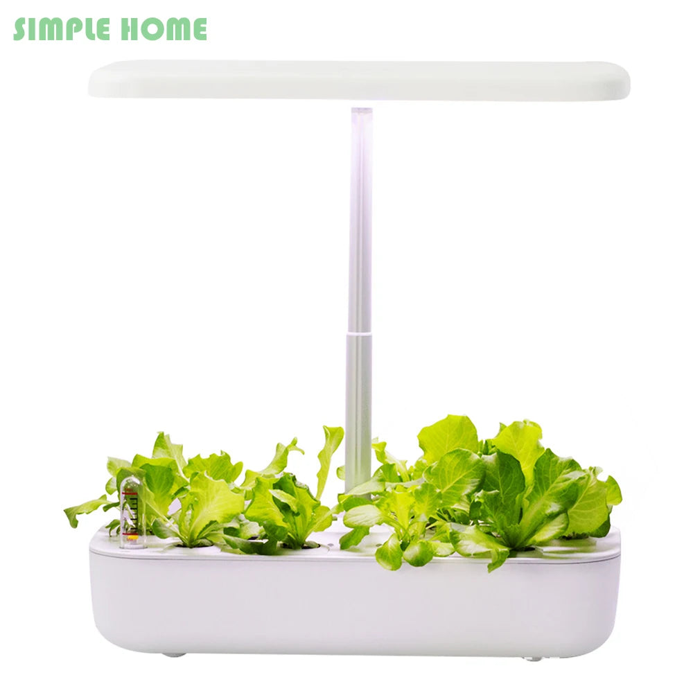 Hydroponics Growing System with LED Grow Light