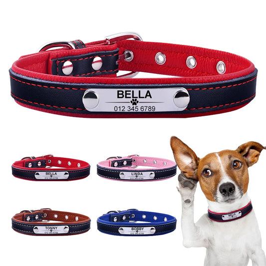 Personalized Leather Dog Collar