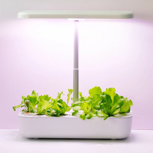 Hydroponics Growing System with LED Grow Light
