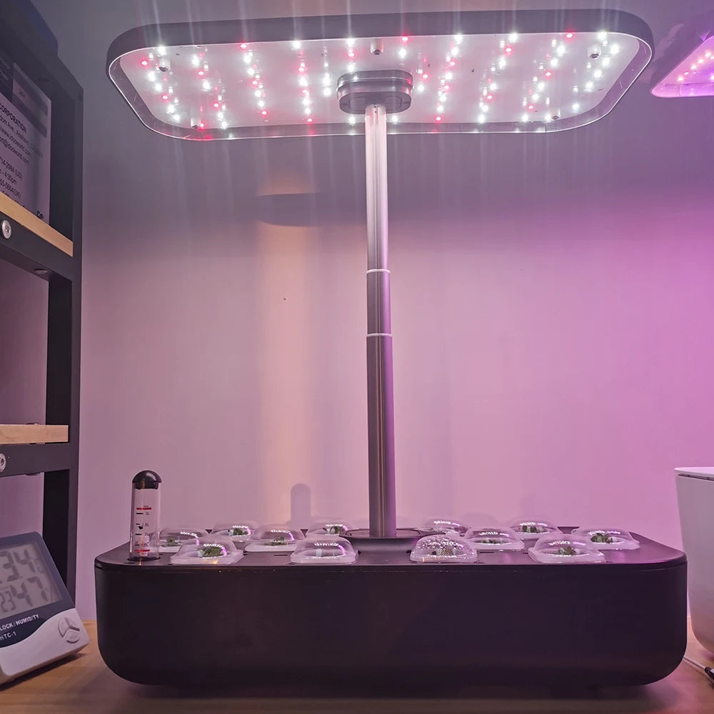 Hydroponics Growing System with LED Grow Light