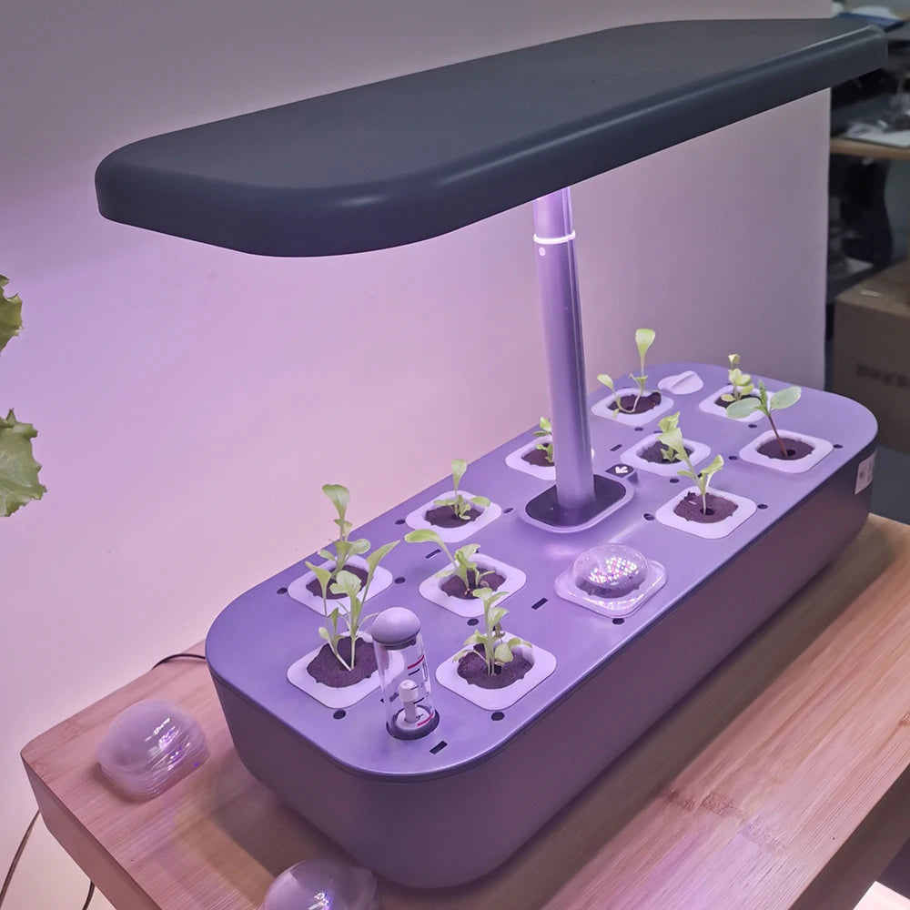 Hydroponics Growing System with LED Grow Light