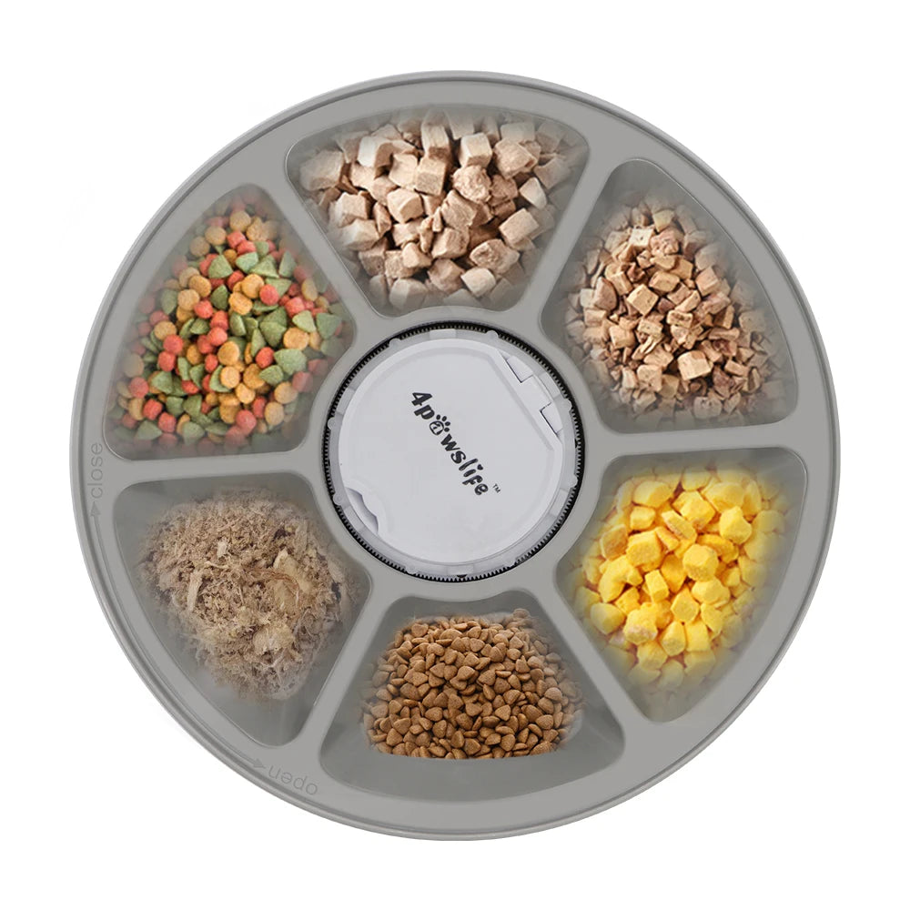 Automatic Pet Feeder with Timer & Voice Recorder – Portion Control Food Dispenser for Dogs & Cats