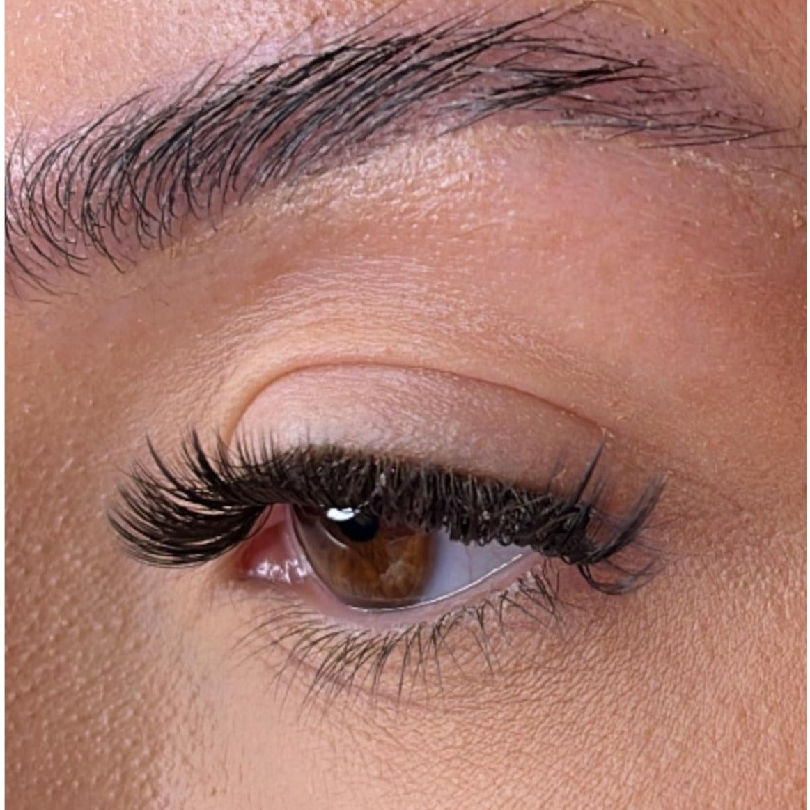 The Medium Lash Collection With No Name