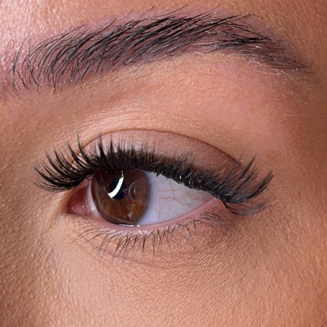 The Medium Lash Collection With No Name