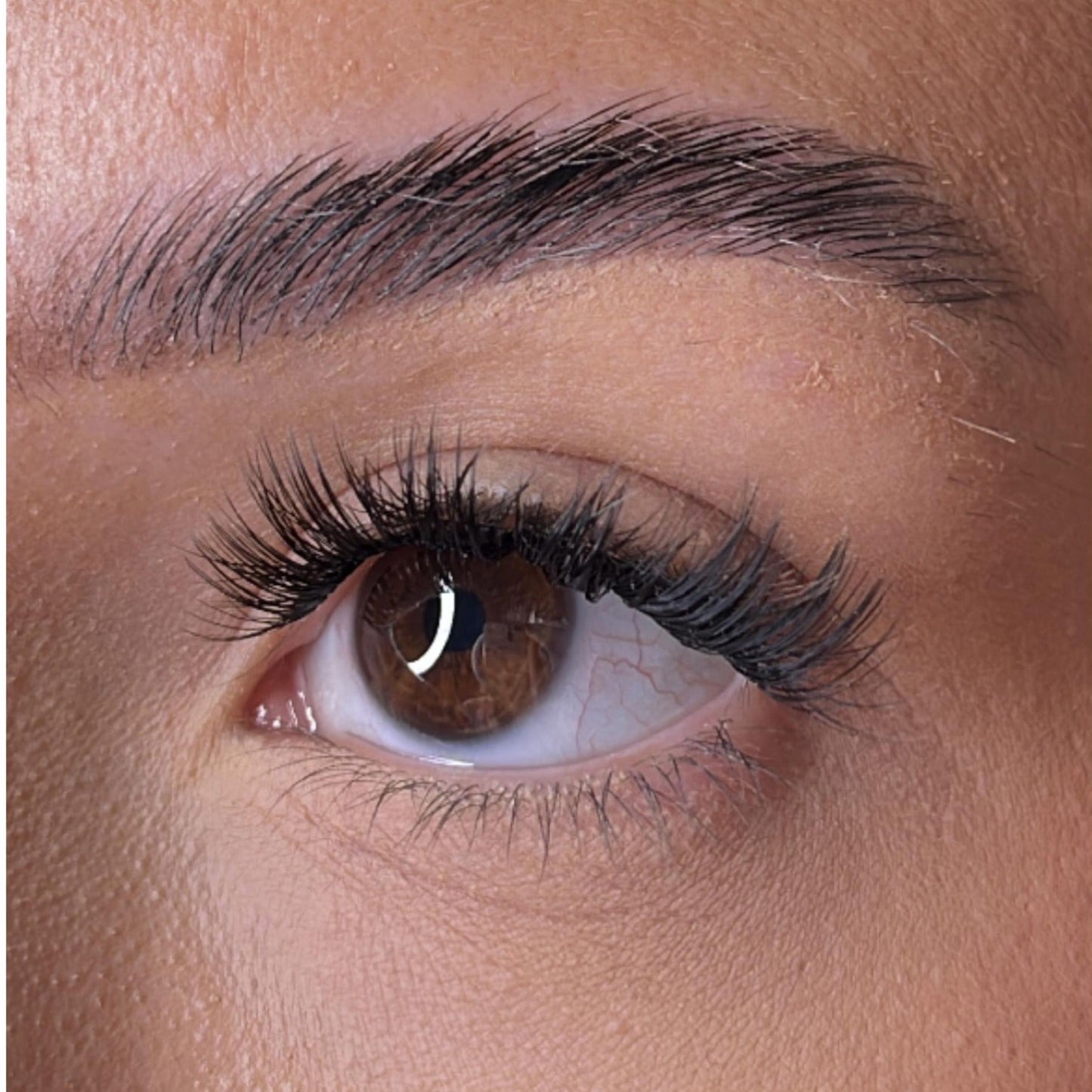 Limited Edition Collection - Mary