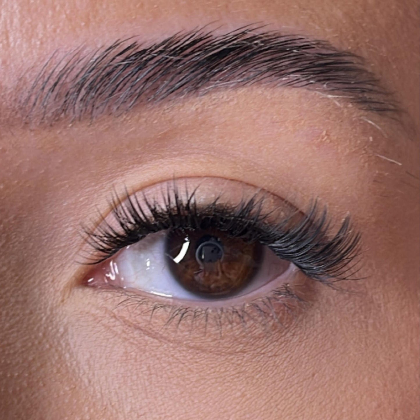 Limited Edition Collection - Mary