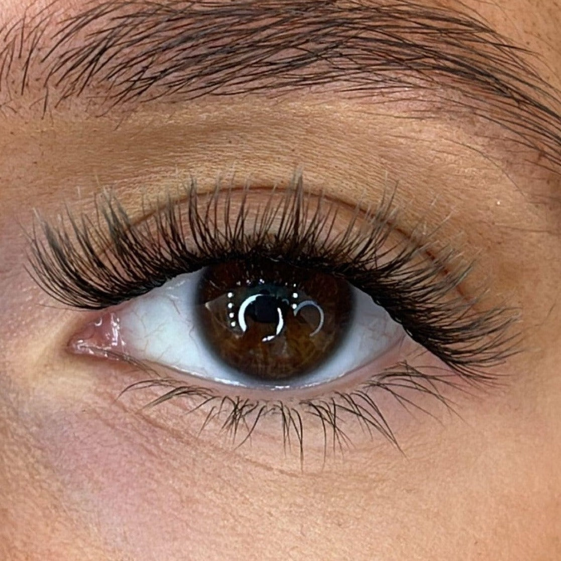 Maya - Weightless 'C' Curl Pre-Cut Lash Ribbons®