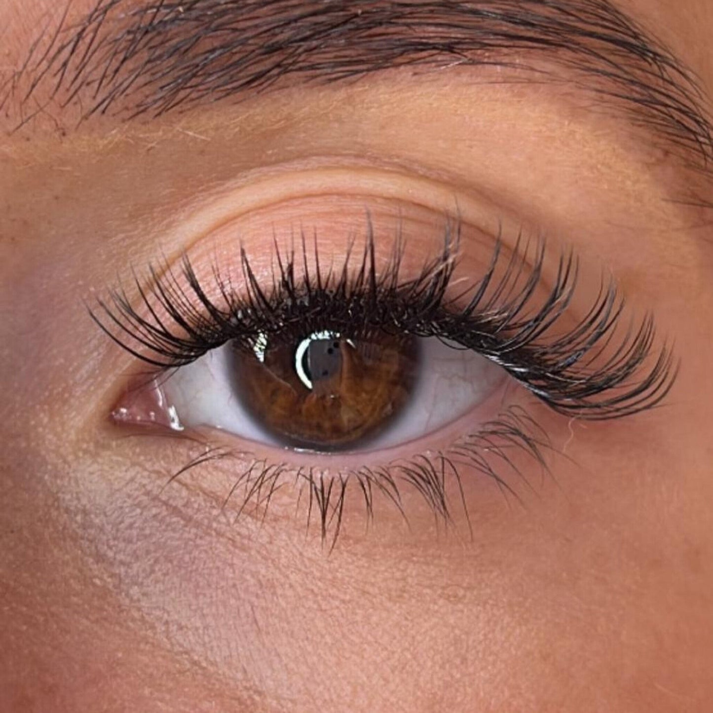 Oran Lash Ribbons® Collections