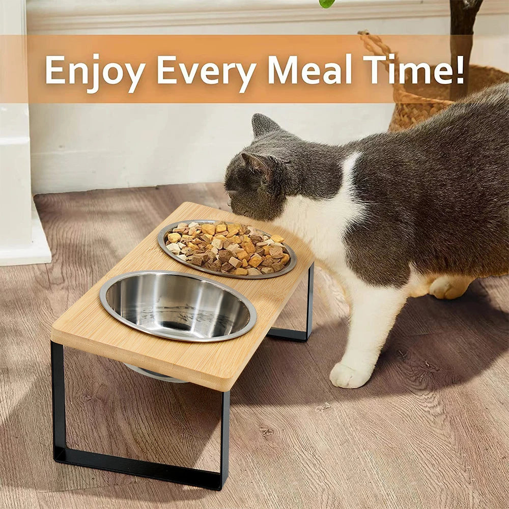 5° Tilted Elevated Pet Bowl – Stainless Steel Feeder for Cats and Puppies, Ergonomic Raised Dog Bowl