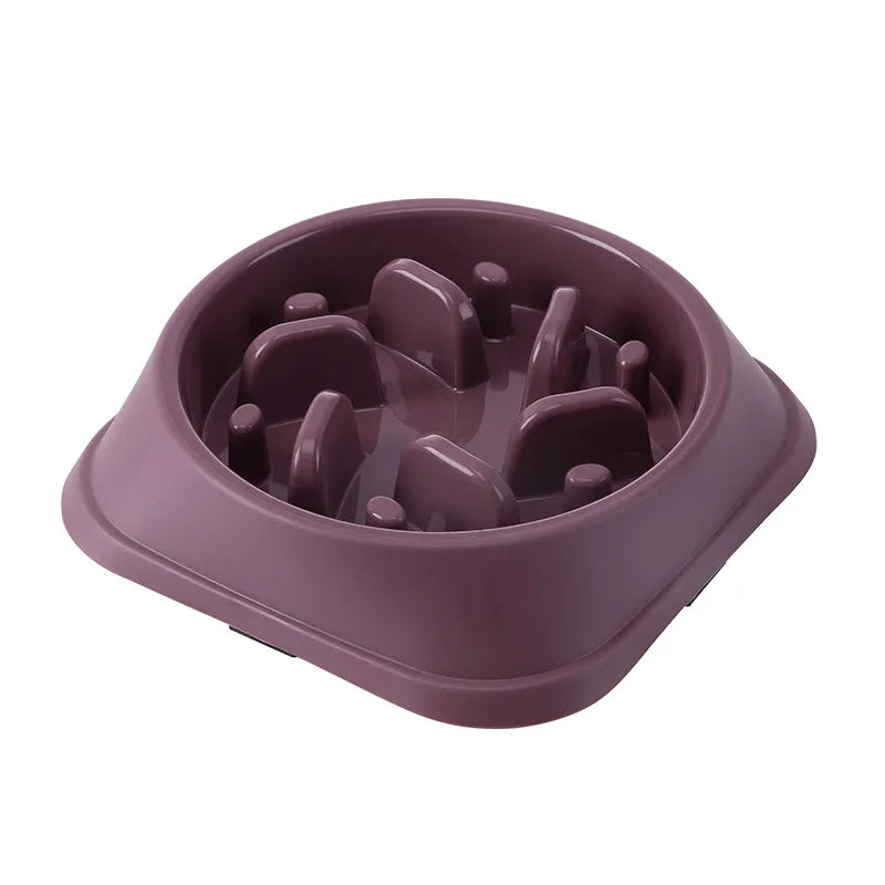 Slow Food Pet Bowl