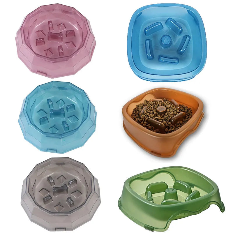 Slow Food Pet Bowl