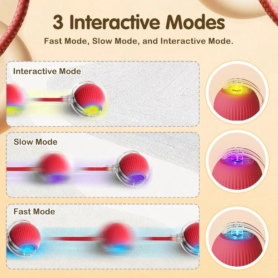 Interactive Cat Toys Ball for Indoor Cats Interactive Rolling Dog Ball Cat Toy Automatic Cat Toy Self Moving Dog Toys 360 Rolli