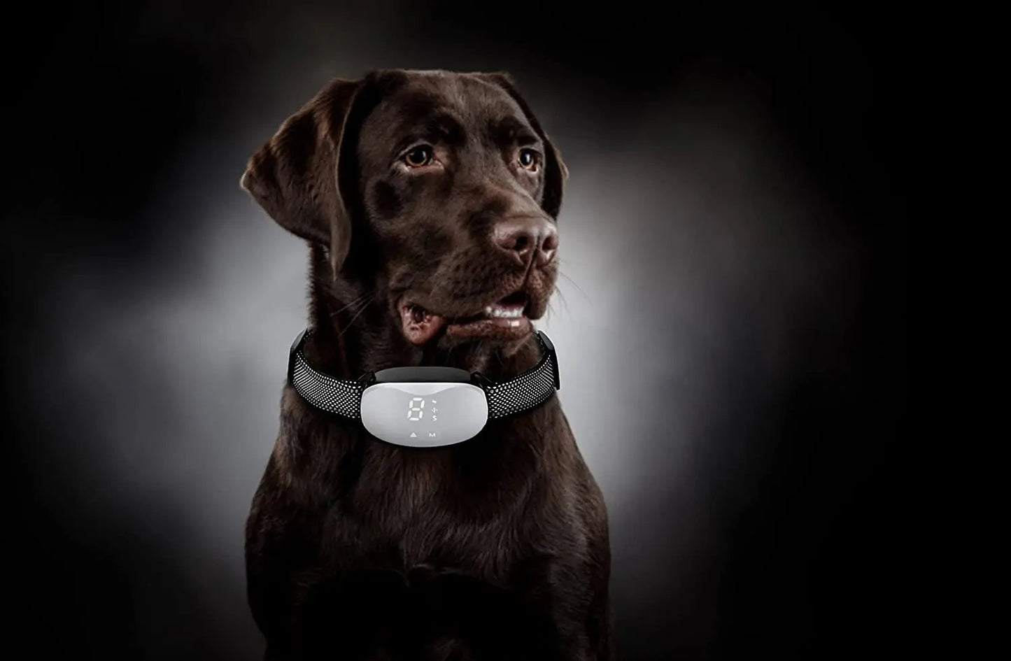 Electric shock Vibration Anti bark dog collar
