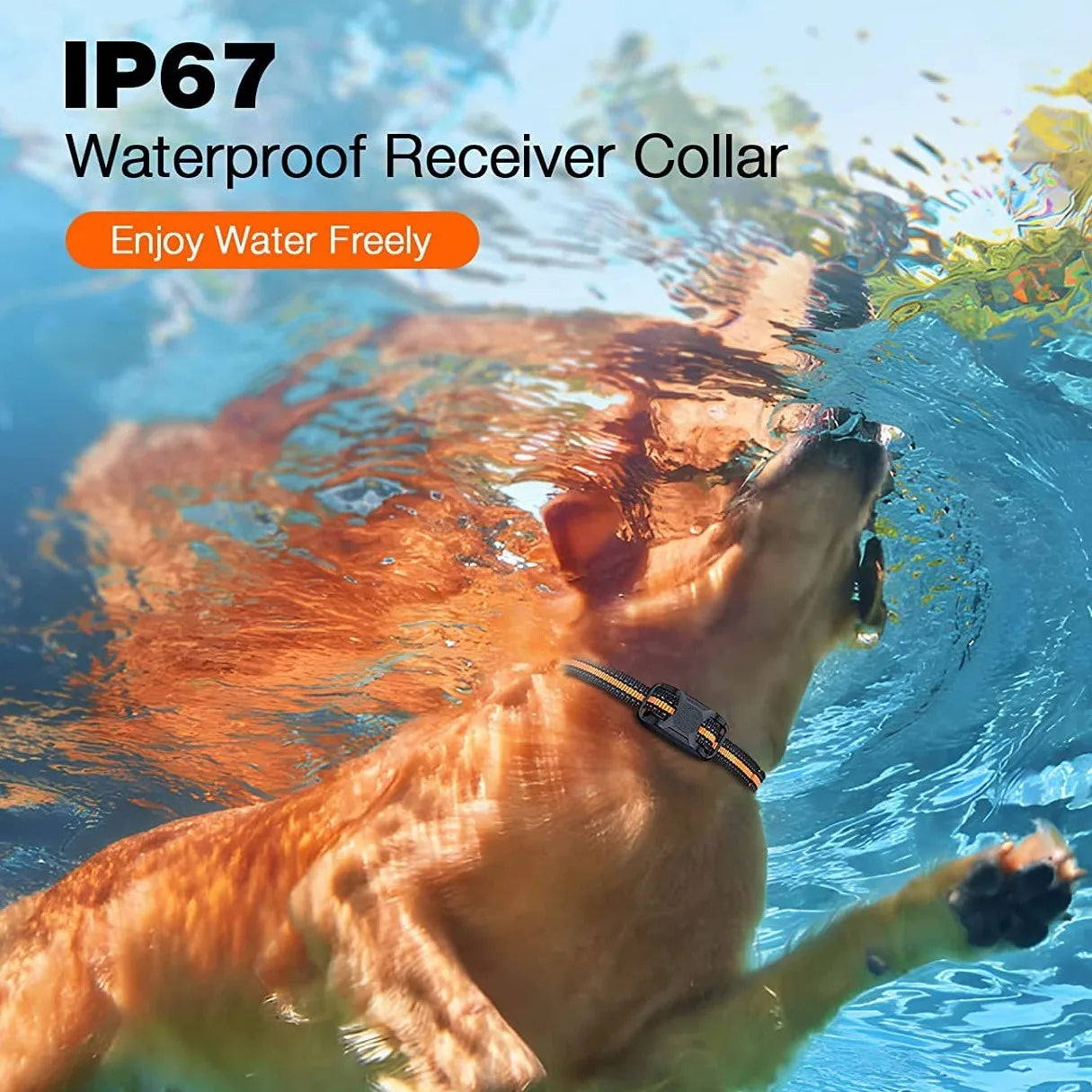 3300Ft Dog Training Collar with Remote Rechargeable Waterpro of E Collar Beep Vibration Shock High Quality Pet Training