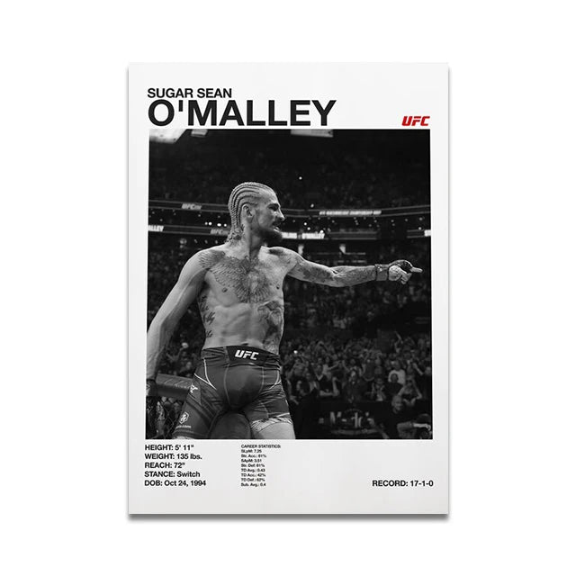 MMA Boxing Fighting Star Canvas Wall Art Print Poster