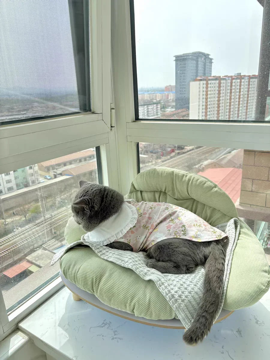 Summer cat and dog sofa four seasons universal dog cushion dog bed cat litter cat cushion removable pet bed