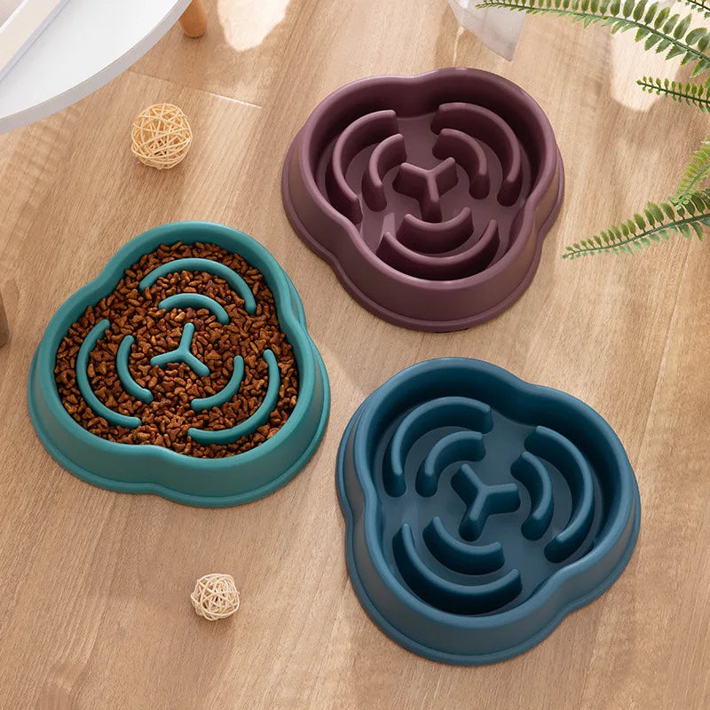 Slow Food Pet Bowl