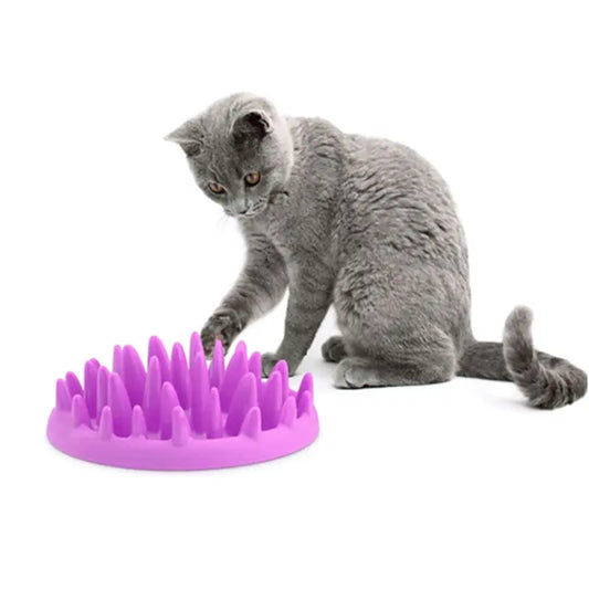 Non-Slip Slow Feeder Bowl – Interactive Anti-Gulping Silicone Feeding Dish for Dogs, Cats & Kittens