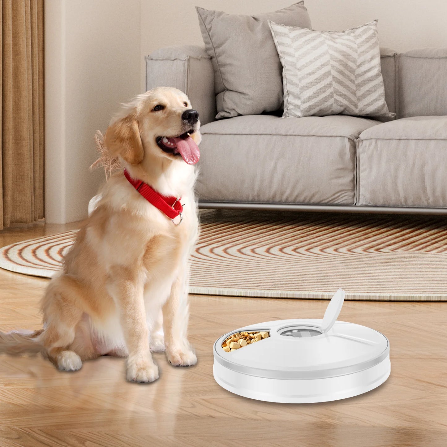 Automatic Pet Feeder 6-Grids 24 Hour Timing Wet/Dry Snacks Feeding Device Battery Powered For Cats Dogs Foods Dispenser