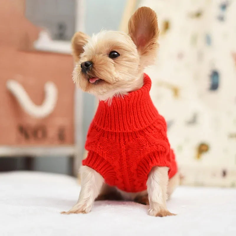Knitted Pet Coat