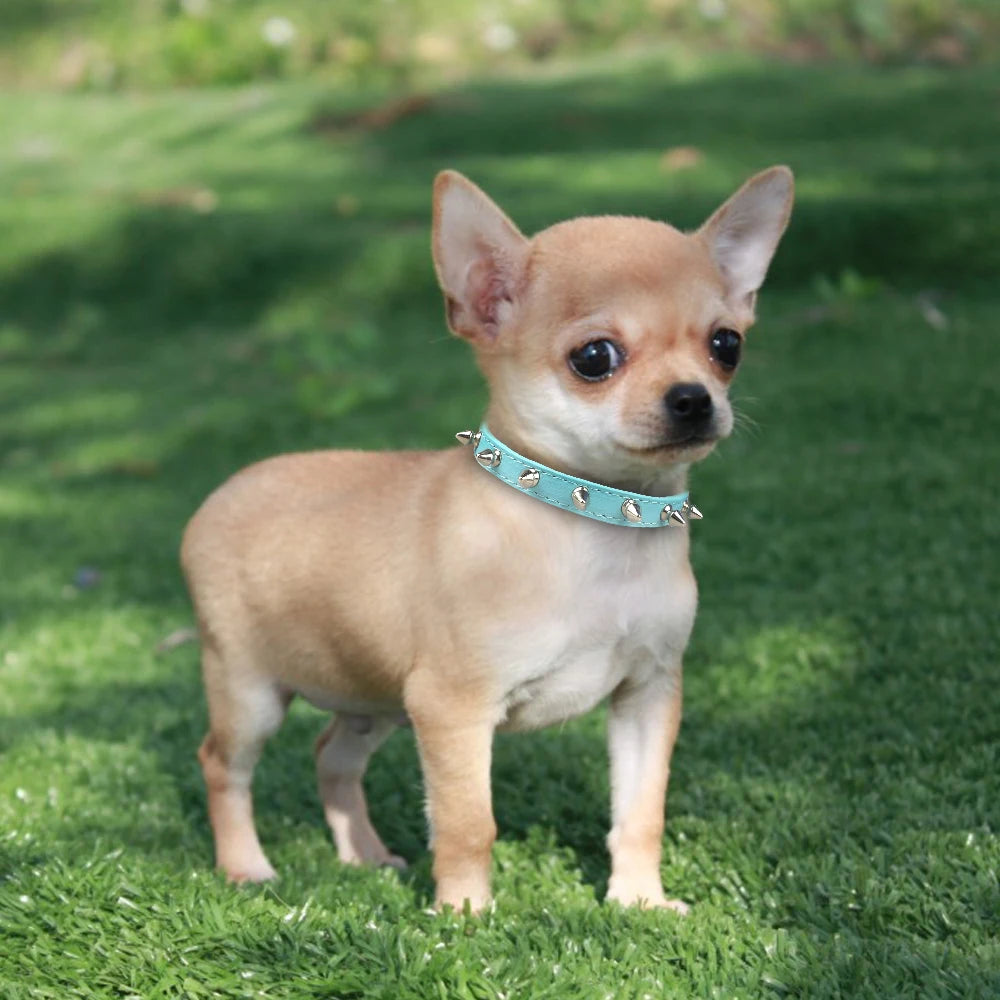 Anti-Bite Spiked Dog Collar – PU Leather Studded Collar for Small Dogs, Bulldogs, Pugs, and Puppies