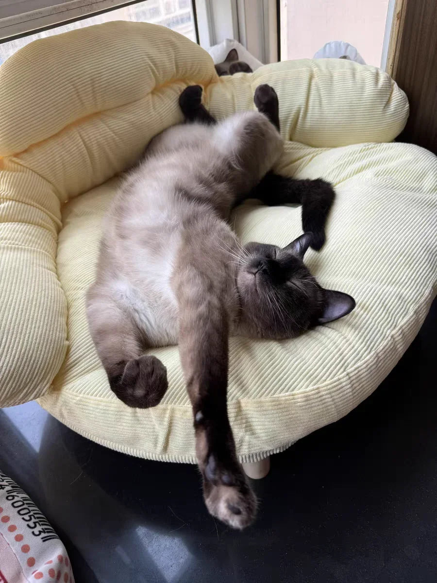 Summer cat and dog sofa four seasons universal dog cushion dog bed cat litter cat cushion removable pet bed