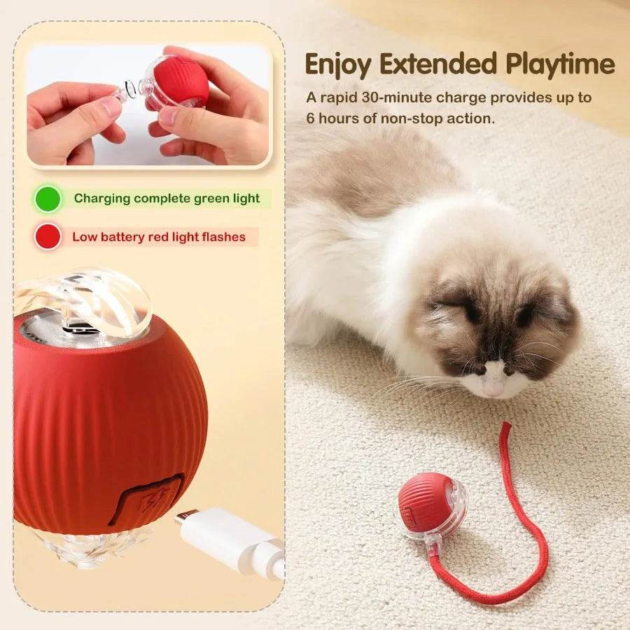 Interactive Cat Toys Ball for Indoor Cats Interactive Rolling Dog Ball Cat Toy Automatic Cat Toy Self Moving Dog Toys 360 Rolli