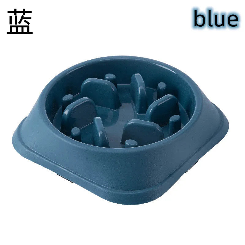 Slow Food Pet Bowl