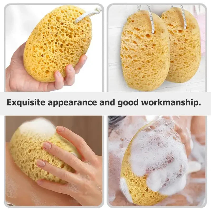 Body Foam Sponges