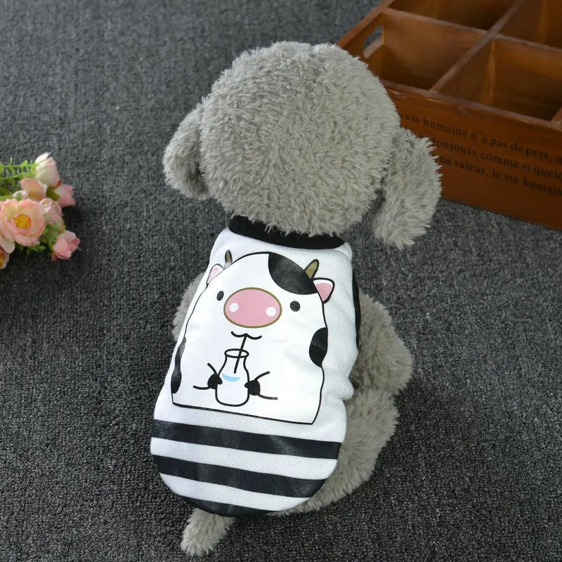 Xxxs Pet Winter Coat