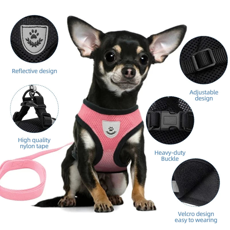 Adjustable Polyester Mesh Pet Harness Lead