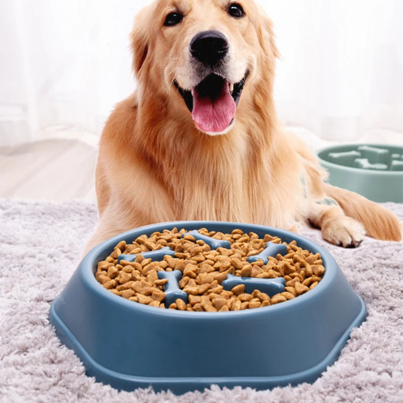 Pet Slow Feeder Bowl – Anti-Choking, Anti-Gulping PP Plastic Dish for Dogs