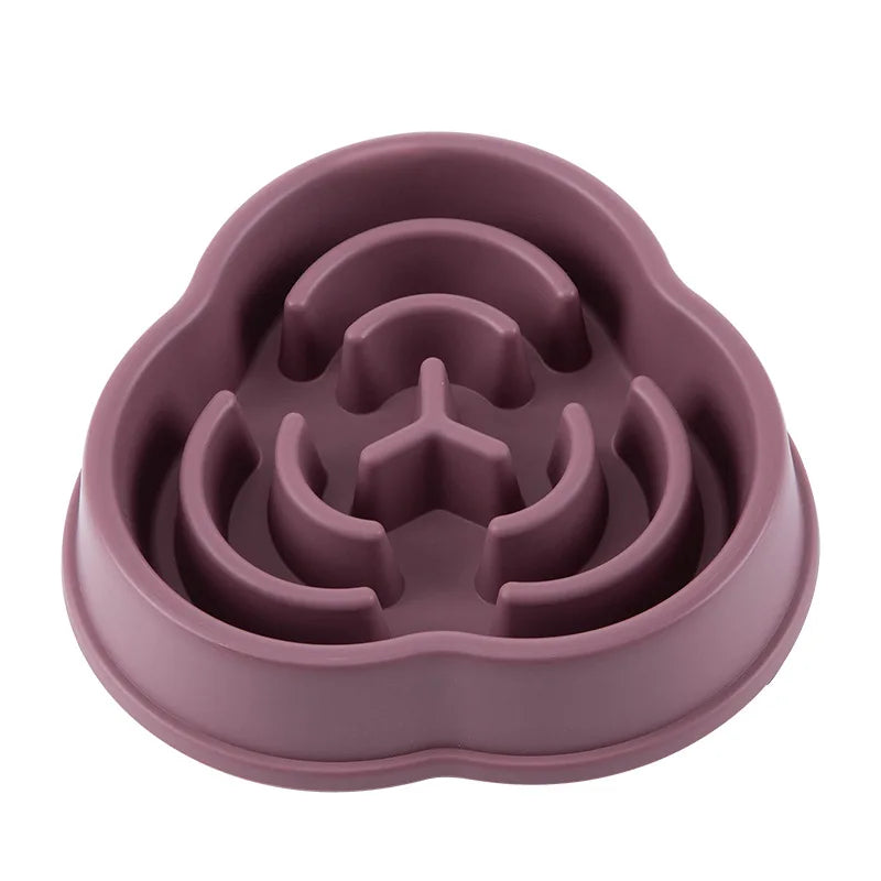 Slow Food Pet Bowl