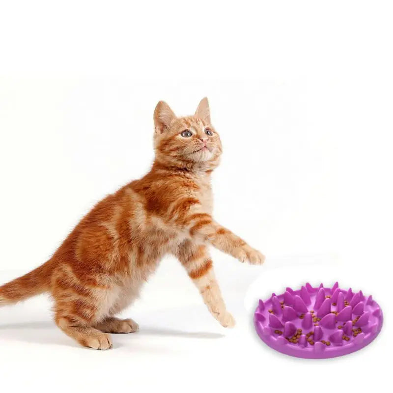 Non-Slip Slow Feeder Bowl – Interactive Anti-Gulping Silicone Feeding Dish for Dogs, Cats & Kittens