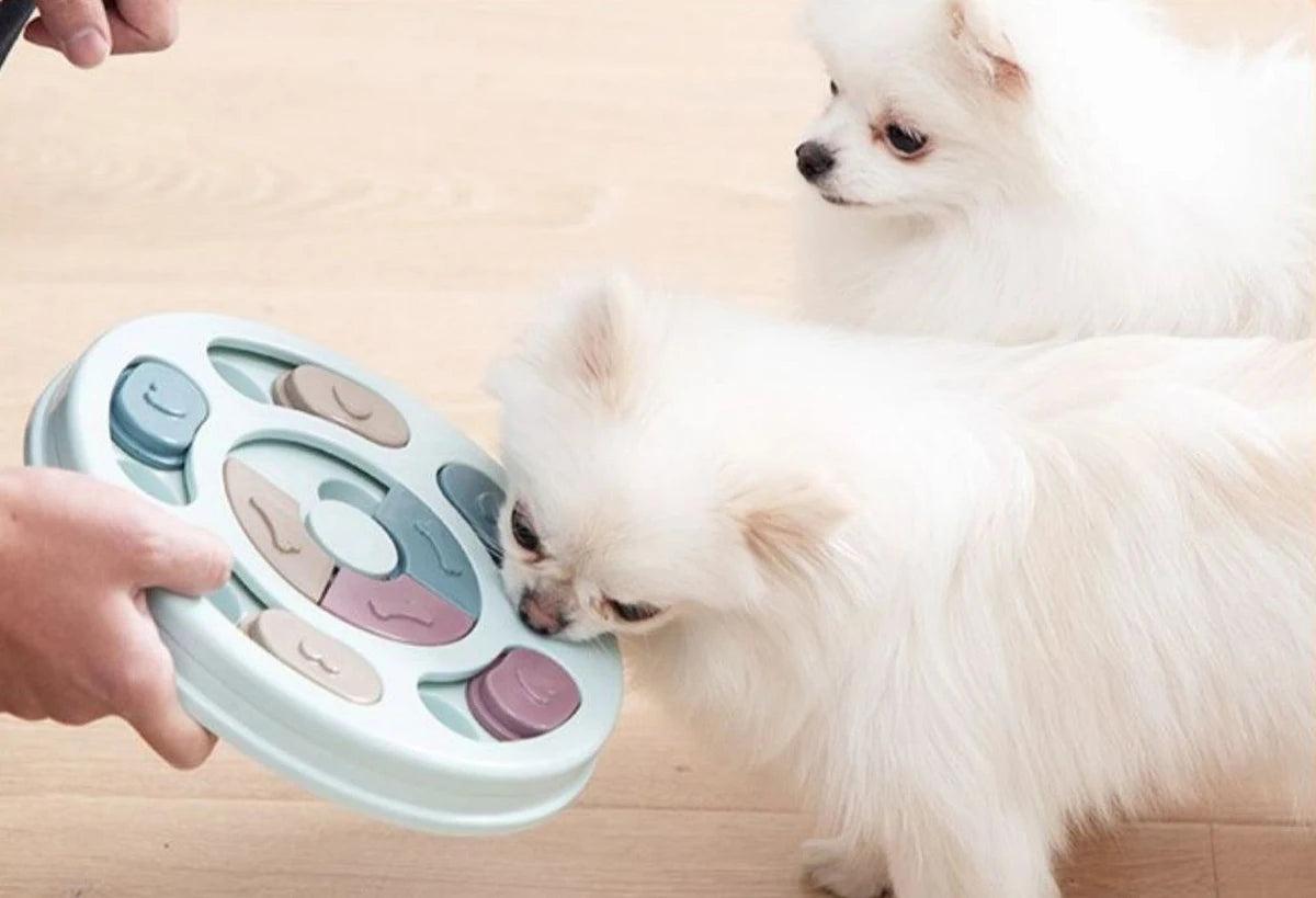 14 Compartments Pet Food Carousel Slow Feeder