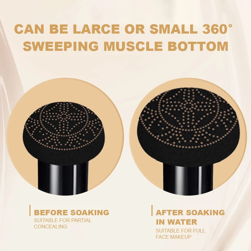 Ocheal BB Cream Make Up Foundation